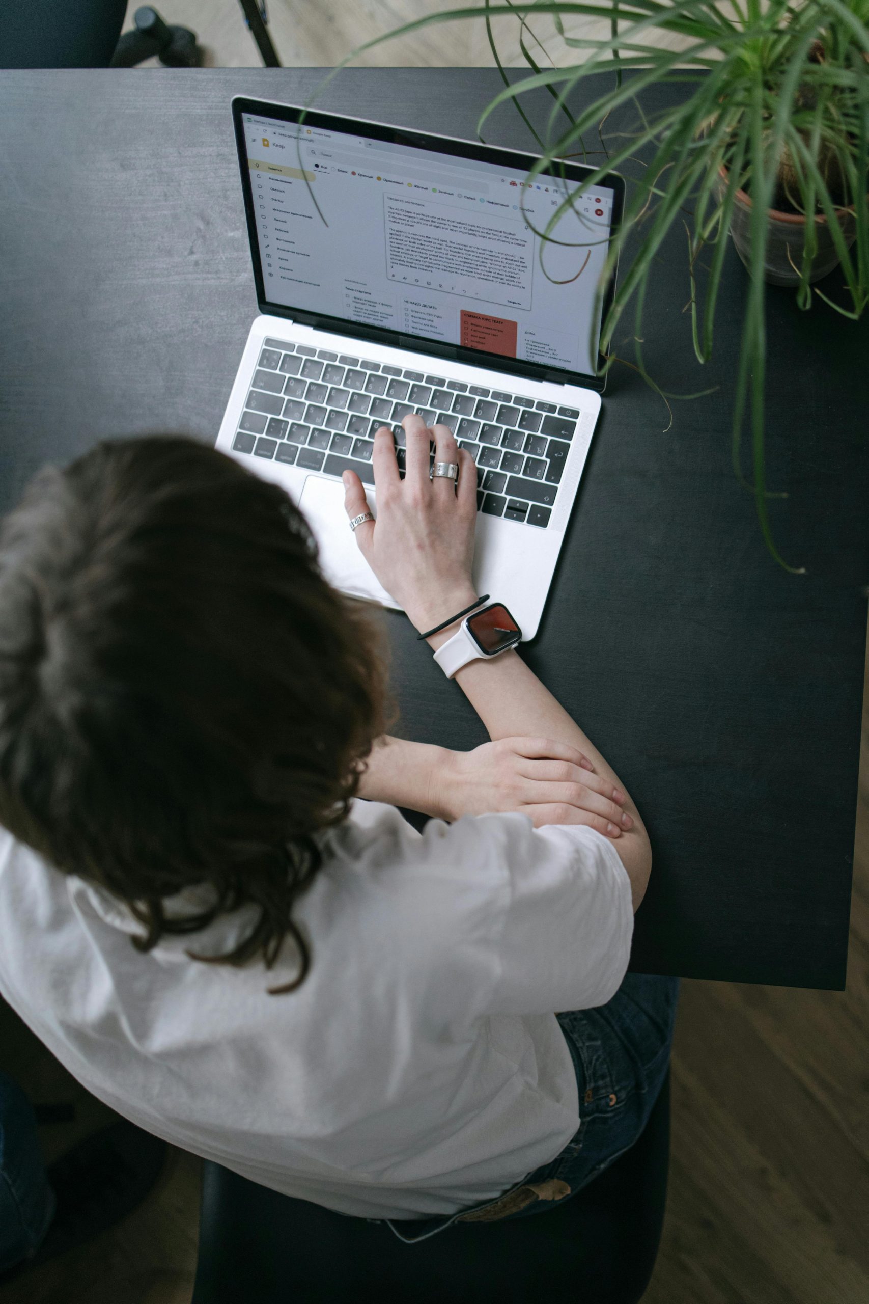 Email Marketing | Zesty Digital Studio