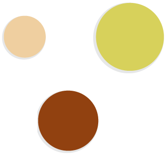 Zesty Digital Studio